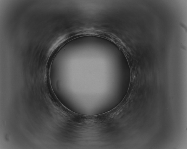 X0000092290344200710051206