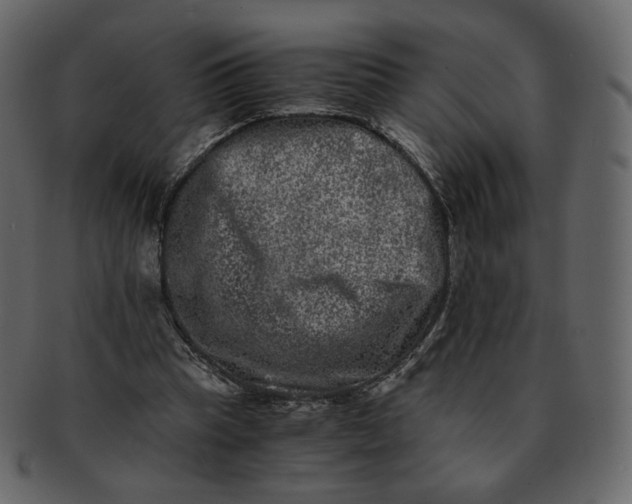 X0000092290345200710051206