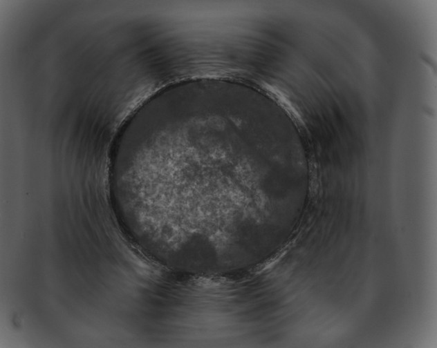 X0000092290346200710051206