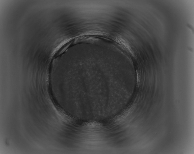 X0000092290348200710051206