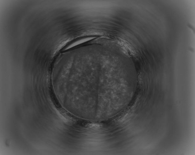 X0000092290352200710051206