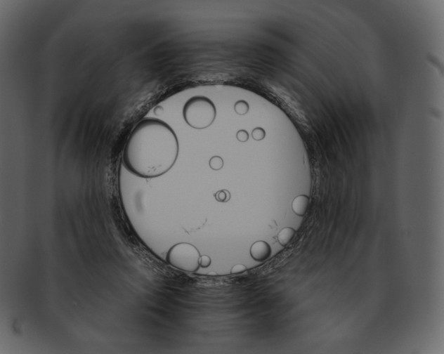 X0000092290354200710051206