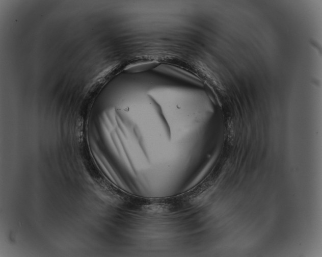 X0000092290356200710051206