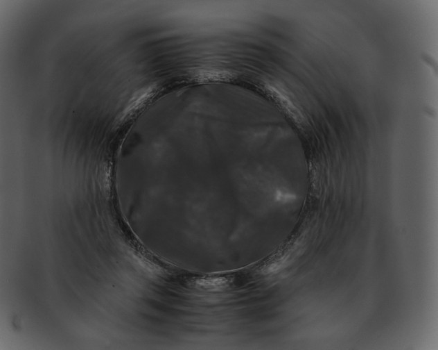 X0000092290357200710051206