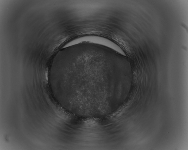 X0000092290358200710051206