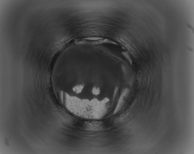 X0000092290359200710051206