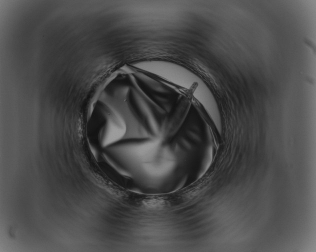 X0000092290362200710051206