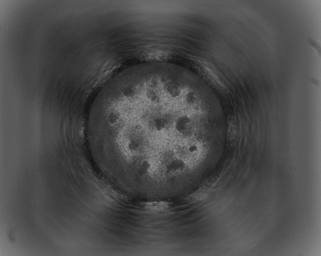 X0000092290363200710051206