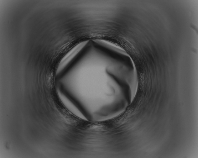 X0000092290364200710051206