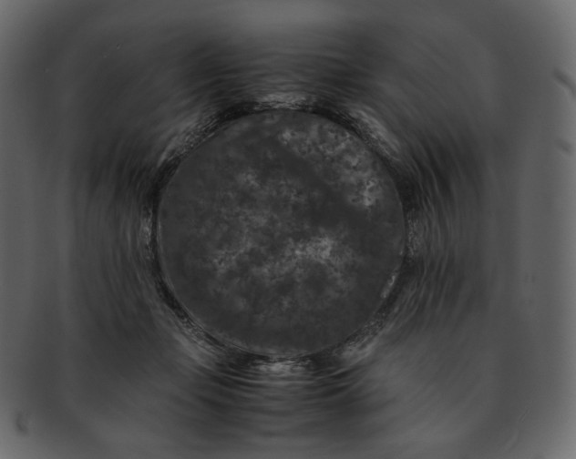 X0000092290365200710051206