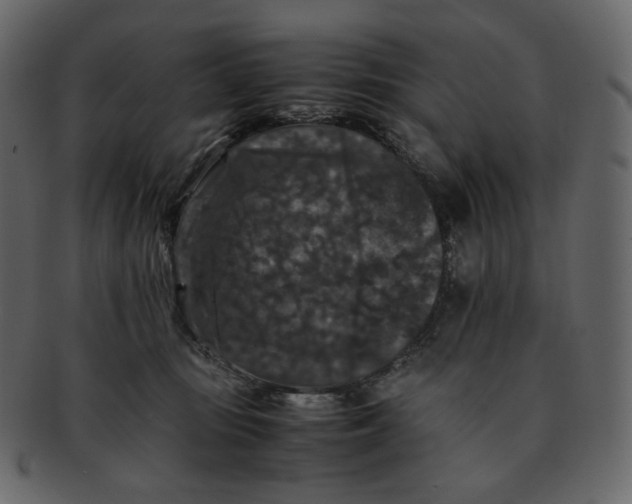 X0000092290371200710051206