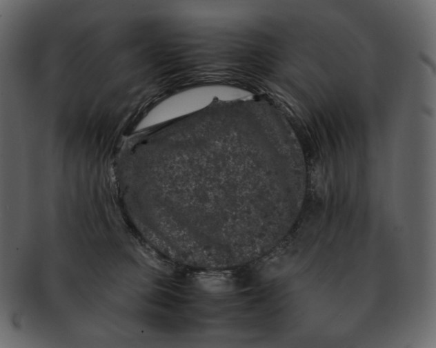 X0000092290373200710051206