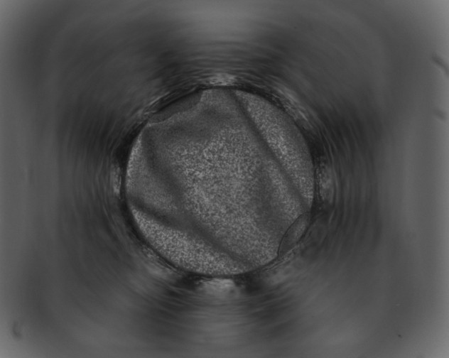 X0000092290374200710051206