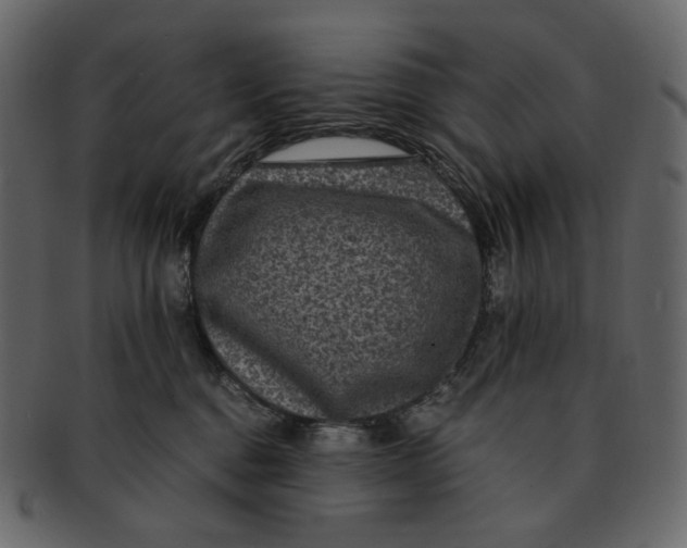 X0000092290376200710051206