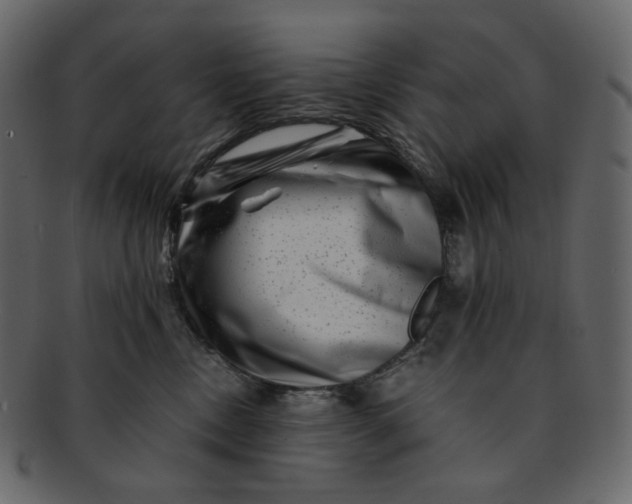 X0000092290378200710051206