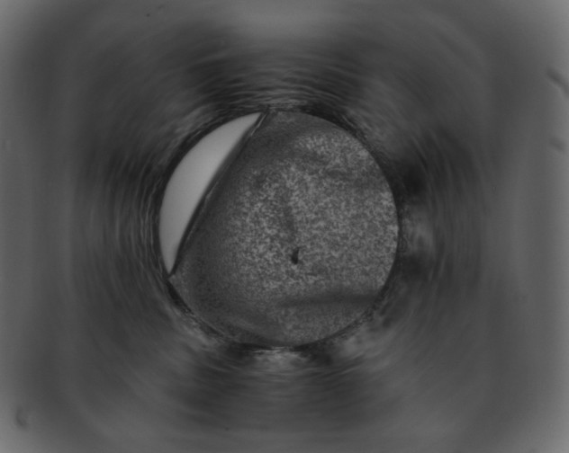 X0000092290379200710051206