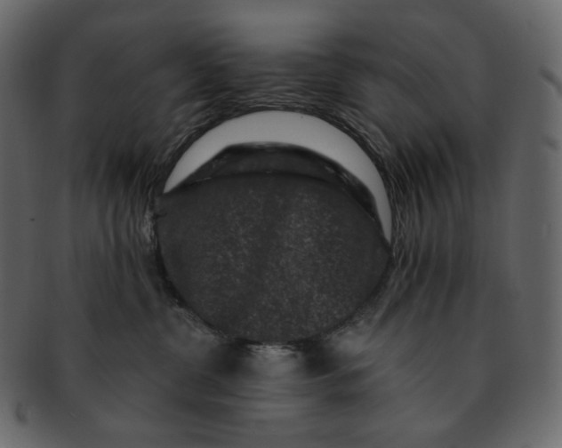 X0000092290380200710051206