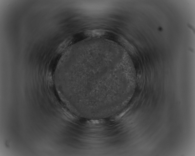 X0000092290381200710051206