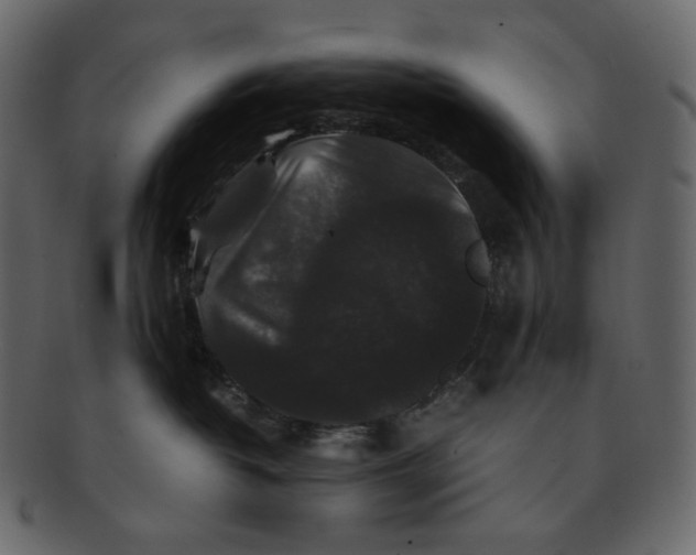 X0000092290382200710051206