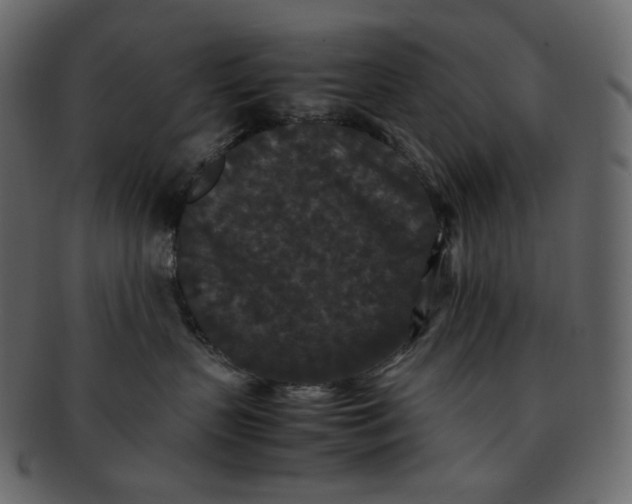 X0000092290383200710051206