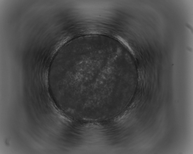 X0000092290386200710051206