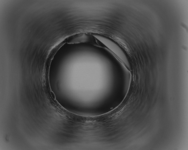 X0000092290388200710051205