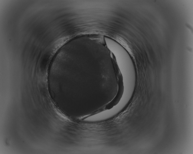 X0000092290389200710051205