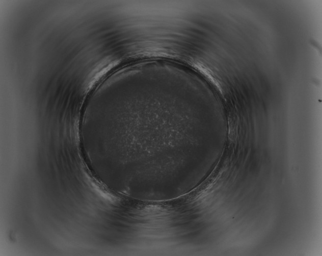 X0000092290390200710051205