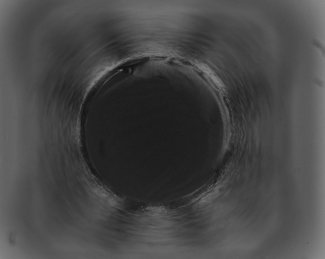 X0000092290391200710051205