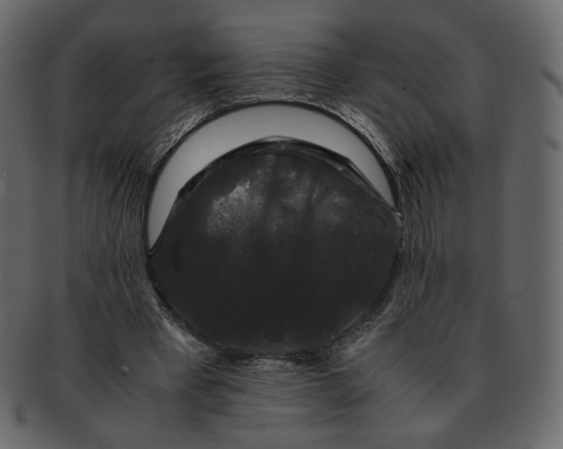 X0000092290393200710051205