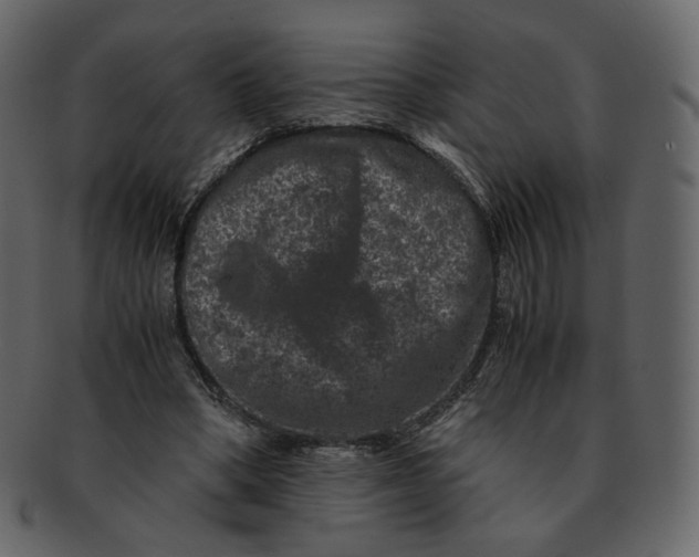 X0000092290394200710051205