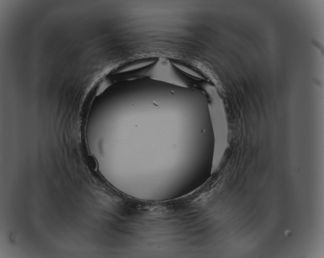 X0000092290395200710051205