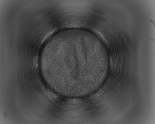 X0000092290396200710051205