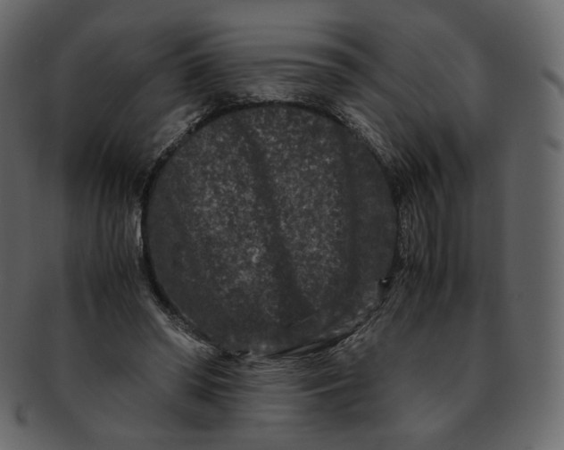 X0000092290398200710051205