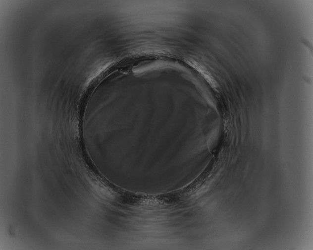 X0000092290399200710051205