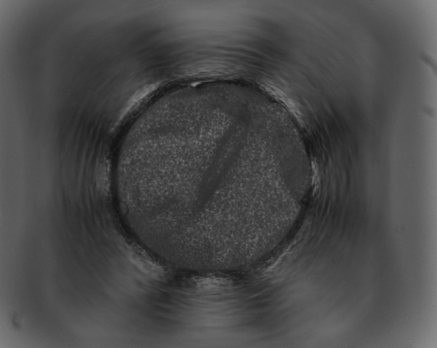 X0000092290400200710051205