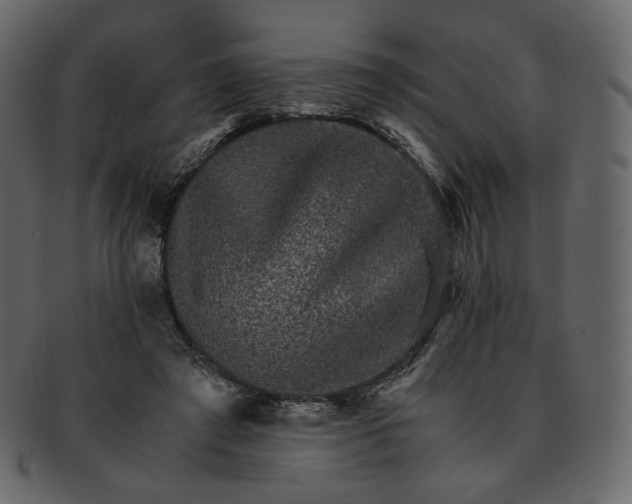 X0000092290401200710051205