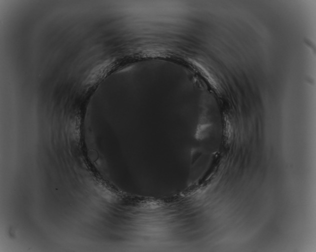 X0000092290402200710051205