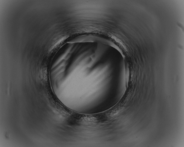 X0000092290403200710051205