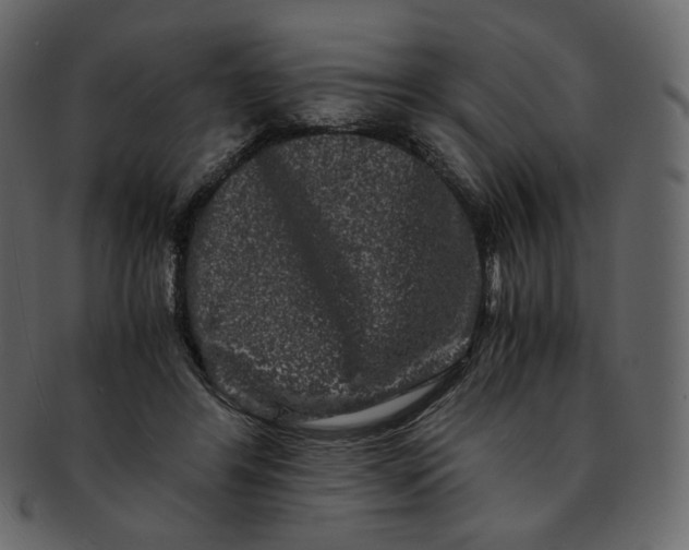 X0000092290404200710051205