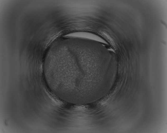 X0000092290405200710051205