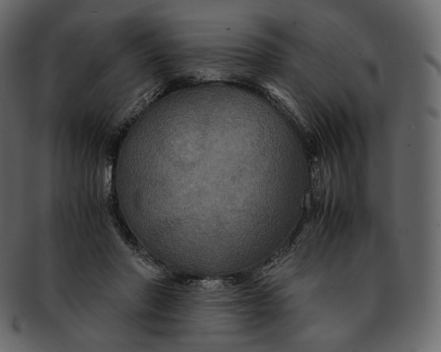 X0000092290406200710051205