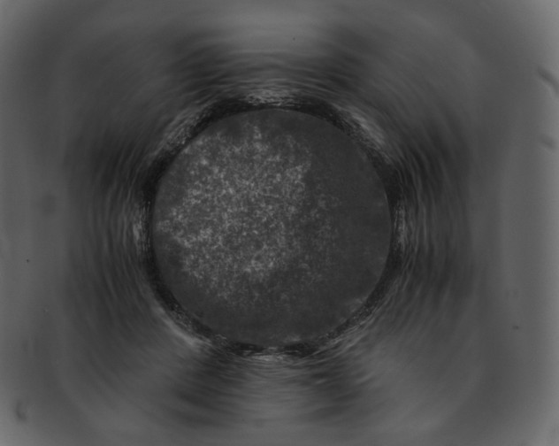 X0000092290408200710051205