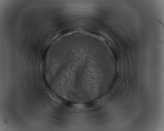 X0000092290409200710051205