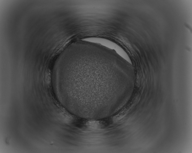 X0000092290413200710051205