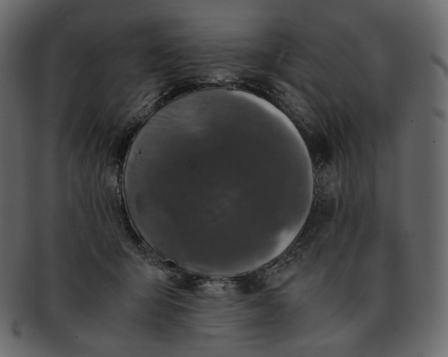 X0000092290415200710051205