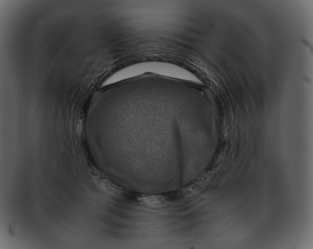 X0000092290417200710051205