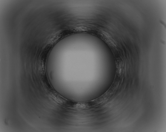 X0000092290418200710051205