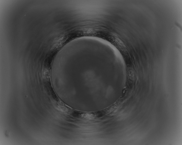 X0000092290419200710051205