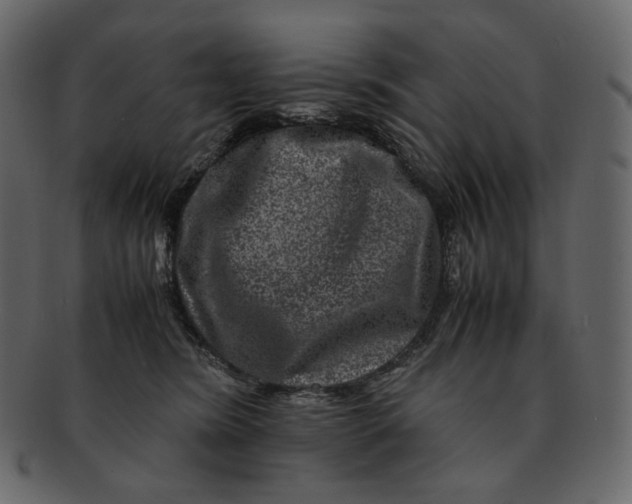 X0000092290420200710051205